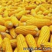 湖北省畜牧漁業(yè)飼料銷售市場 機(jī)遇、挑戰(zhàn)與未來展望